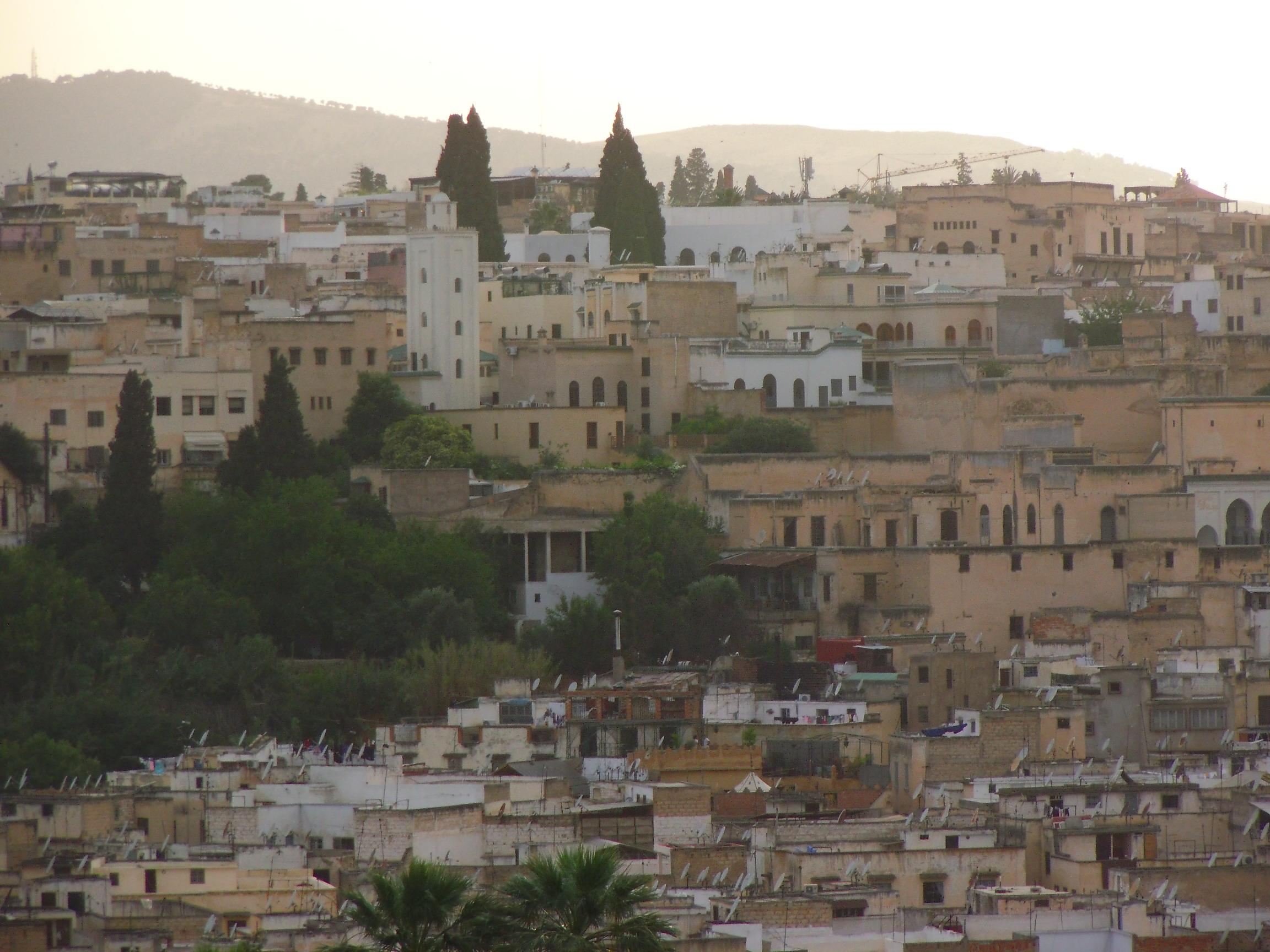 Aerial view of Fez medina