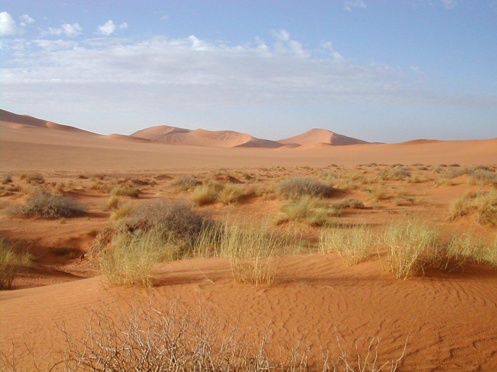 Vast expanse of the Sahara Desert