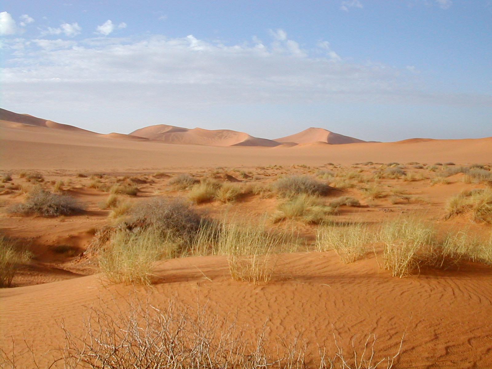 Vast expanse of the Sahara Desert