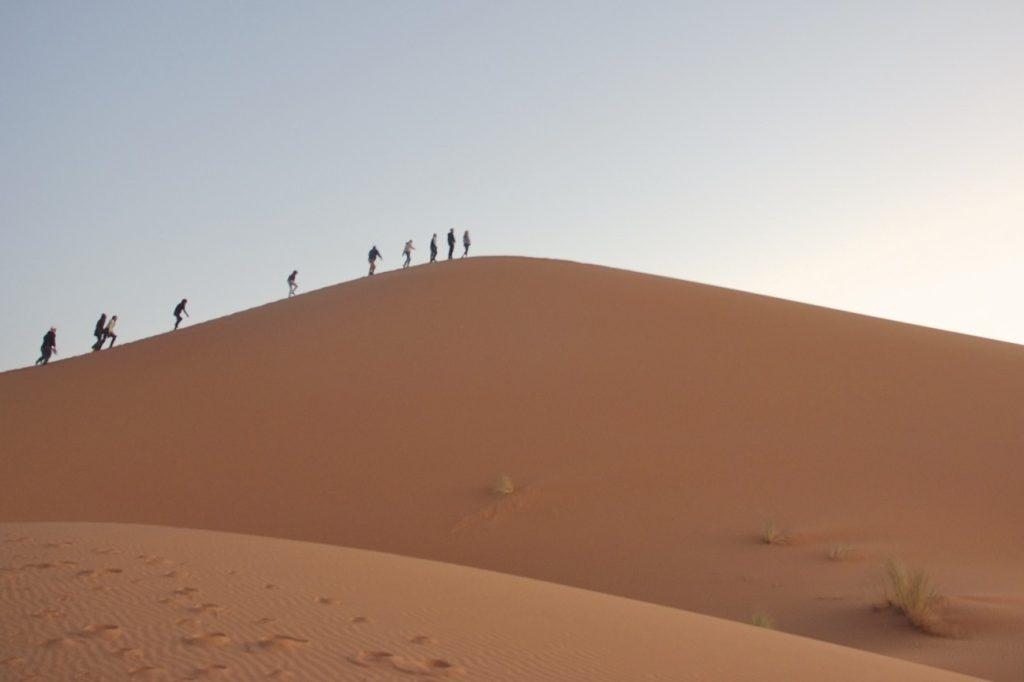 Sahara desert dunes at golden hour