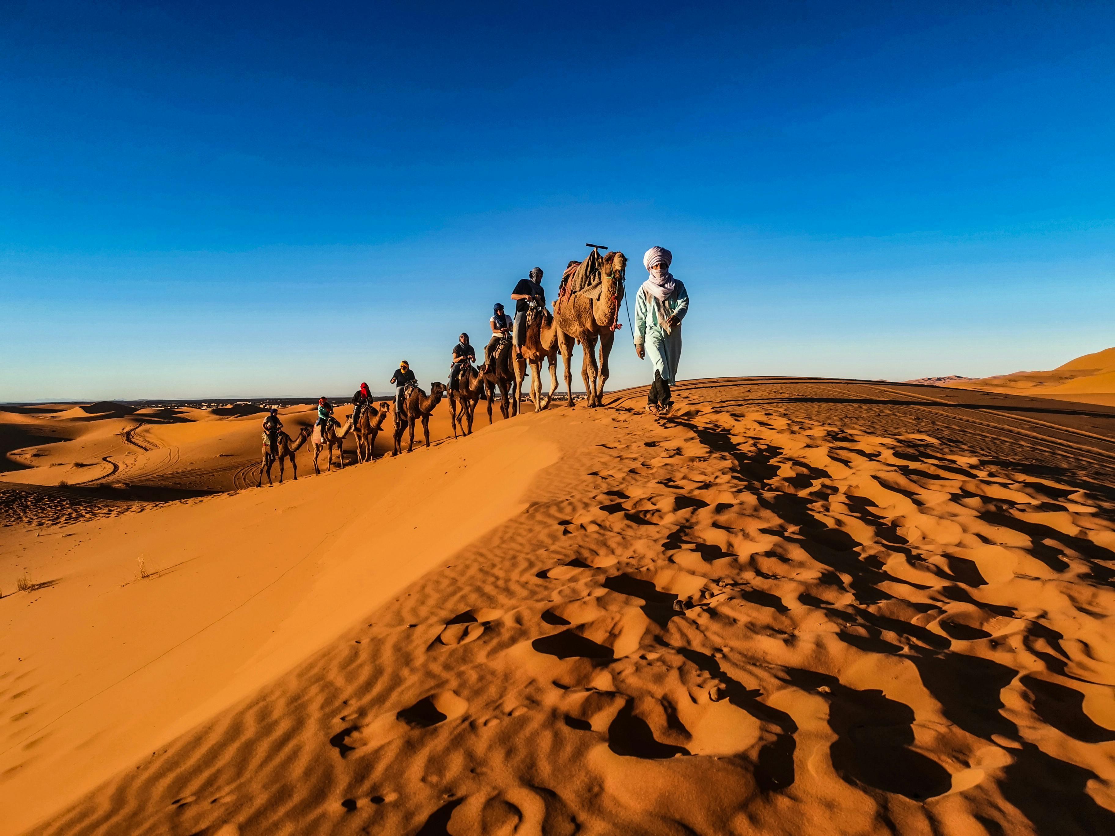 Camel Trekking - 4