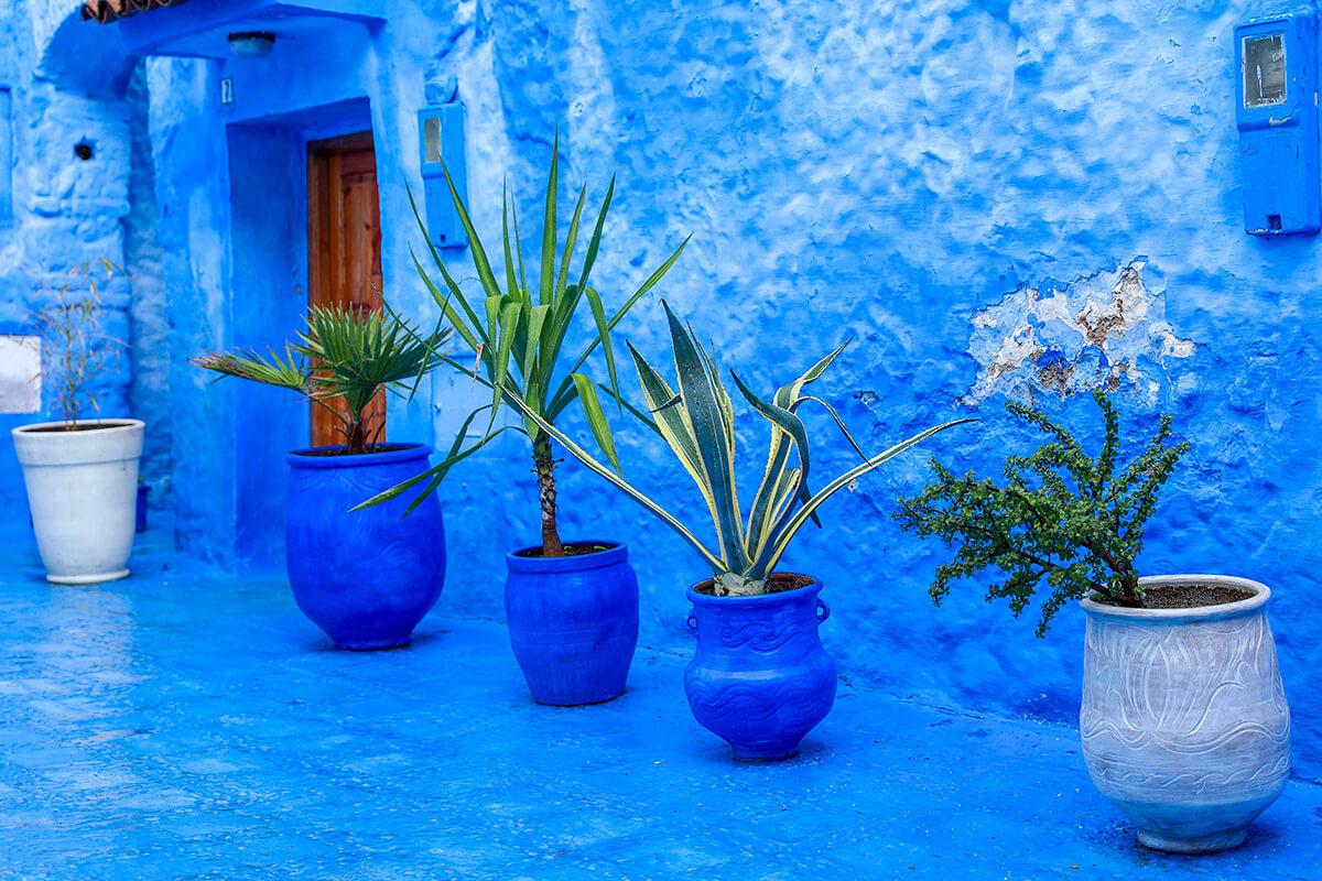 Chefchaouen Blue City Day Trip