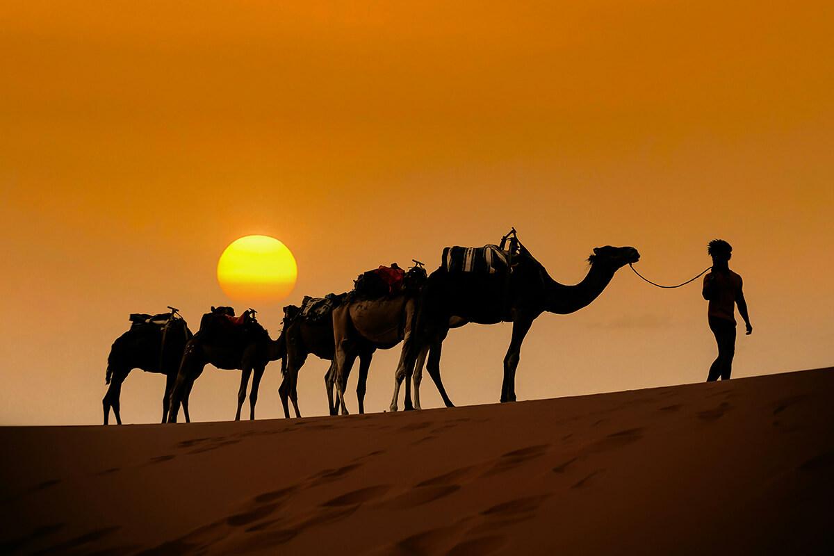 3-Day Desert Tour from Fez to Marrakech